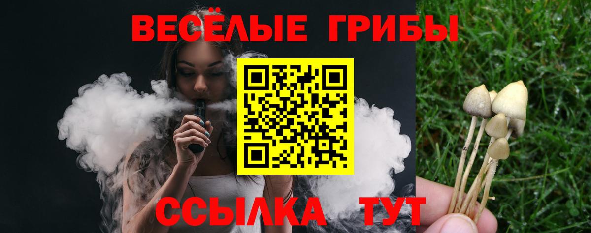 Галлюциногенные грибы Psilocybine cubensis  Вход с VPN  Галлюциногенные грибы мицелий  Михайловка 